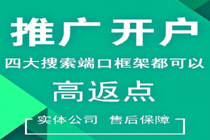 SEM代运营经典案例解析与启示